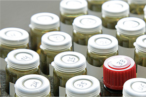 Orthomolekulare Medizin